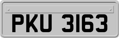 PKU3163