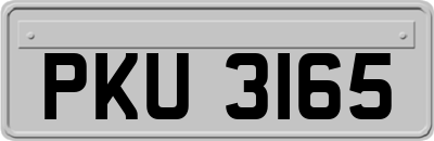 PKU3165