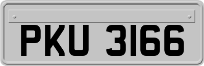 PKU3166