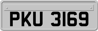 PKU3169
