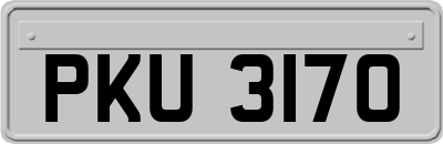 PKU3170