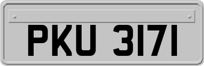 PKU3171