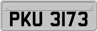 PKU3173