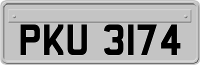 PKU3174