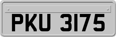 PKU3175