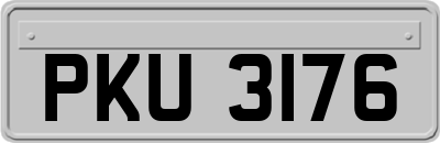 PKU3176