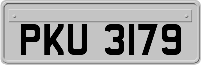PKU3179