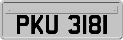PKU3181