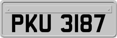 PKU3187
