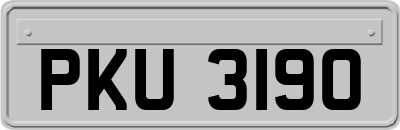 PKU3190