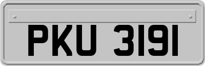 PKU3191