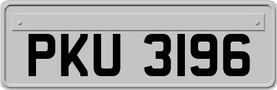 PKU3196