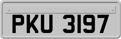 PKU3197