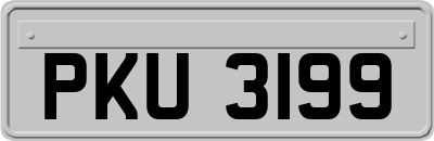 PKU3199