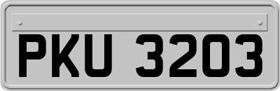 PKU3203