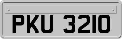 PKU3210