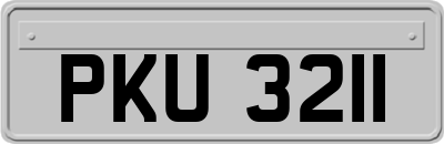 PKU3211