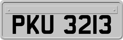 PKU3213