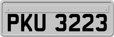 PKU3223