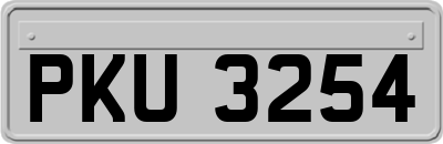 PKU3254