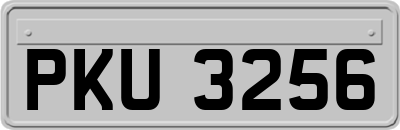 PKU3256