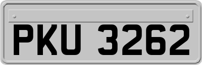 PKU3262