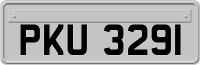 PKU3291