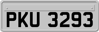 PKU3293