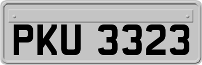 PKU3323