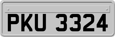 PKU3324