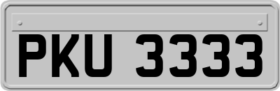 PKU3333