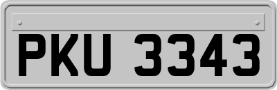 PKU3343