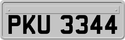 PKU3344
