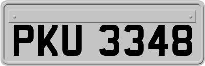PKU3348
