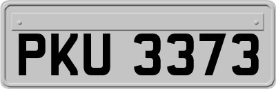 PKU3373