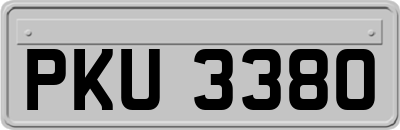 PKU3380