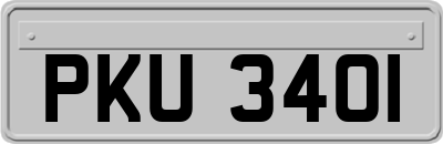 PKU3401