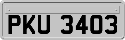 PKU3403