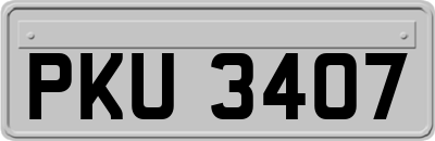 PKU3407