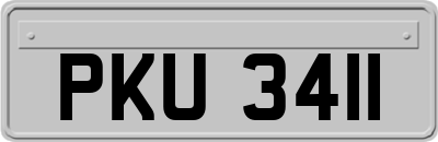 PKU3411