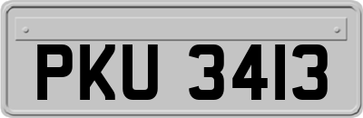 PKU3413