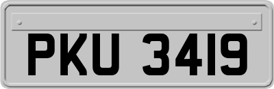 PKU3419