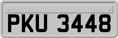 PKU3448