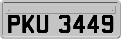 PKU3449