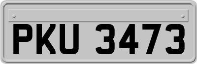 PKU3473