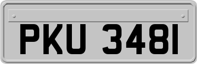 PKU3481