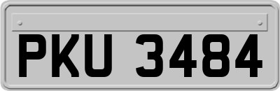 PKU3484