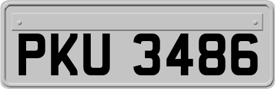 PKU3486