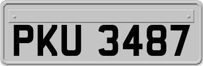 PKU3487