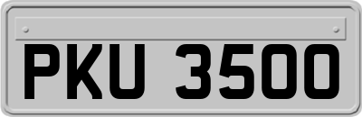 PKU3500